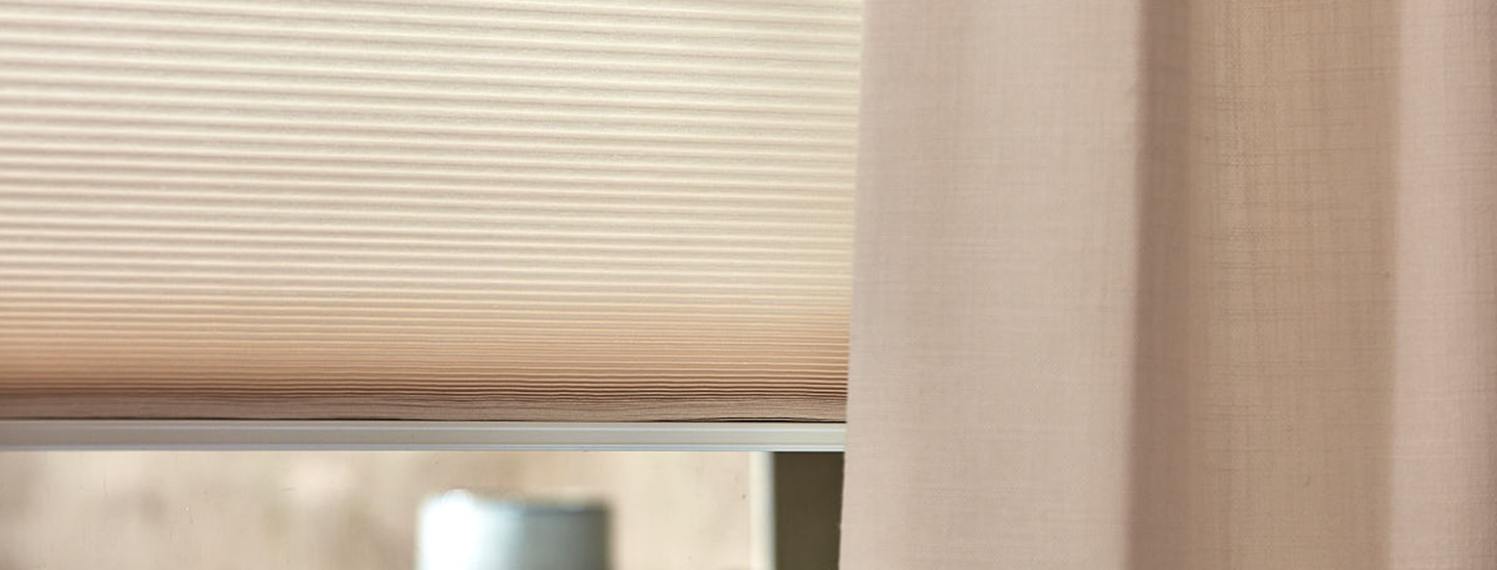 Pleated Blinds