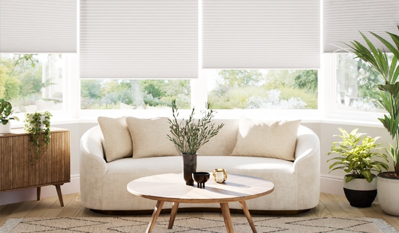 DuoLight Pleated Blinds